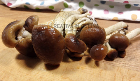 Funghi pioppini sott'olio ricetta di Creativa in cucina