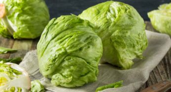 Lattuga appassita, questo è ciò che devi fare per ‘resuscitarla’: come appena raccolta