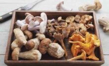 misto di Funghi