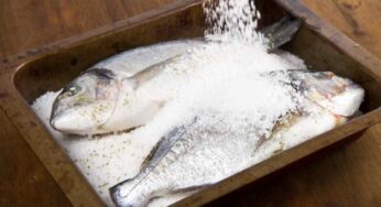 Orata in crosta di sale una ricetta facile e gustosa per un pesce morbido e saporito