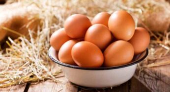 Uova in frigorifero o a temperatura ambiente? Come conservarle per prolungarne la freschezza